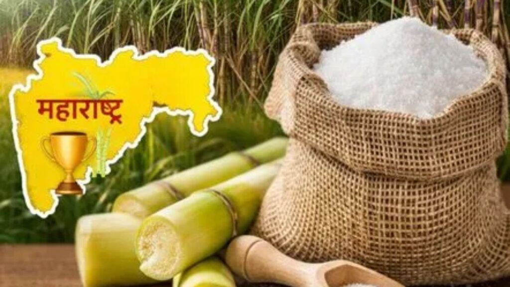 साखर उत्पादनात महाराष्ट्र अव्वल! ९८.९५ लाख टन विक्रमी निर्मिती; उत्तर प्रदेशला टाकले मागे