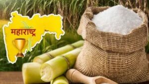 साखर उत्पादनात महाराष्ट्र अव्वल! ९८.९५ लाख टन विक्रमी निर्मिती; उत्तर प्रदेशला टाकले मागे