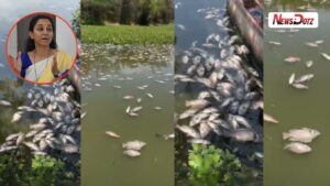 Pune News: पाषाण तलावात शेकडो मासे मृत सुप्रिया सुळे यांची महापालिकेला तातडीच्या कारवाईची मागणी