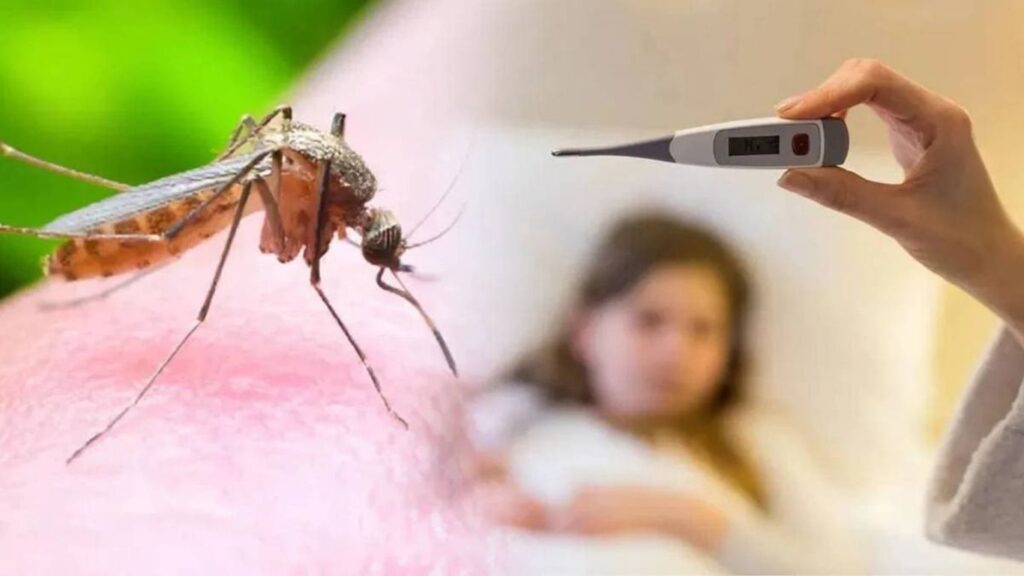 जागतिक मलेरिया दिनी इशारा: महाराष्ट्रात PF मलेरियाचा वाढता धोका, सेरेब्रल गुंतागुंतीची भीती
