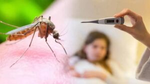 जागतिक मलेरिया दिनी इशारा: महाराष्ट्रात PF मलेरियाचा वाढता धोका, सेरेब्रल गुंतागुंतीची भीती