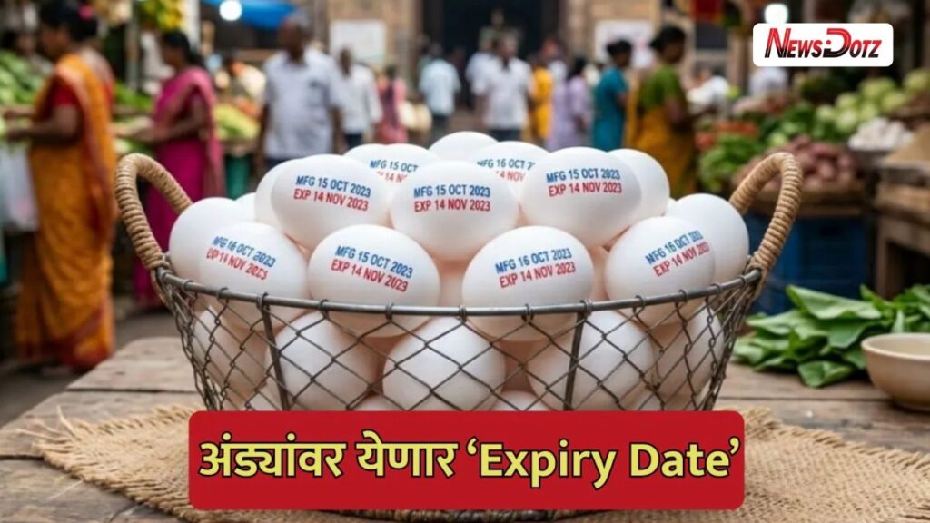 मुंबईत अंड्यांवर ‘एक्सपायरी डेट’ बंधनकारक होणार? बीएमसीत महत्त्वपूर्ण प्रस्ताव