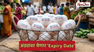 मुंबईत अंड्यांवर ‘एक्सपायरी डेट’ बंधनकारक होणार? बीएमसीत महत्त्वपूर्ण प्रस्ताव