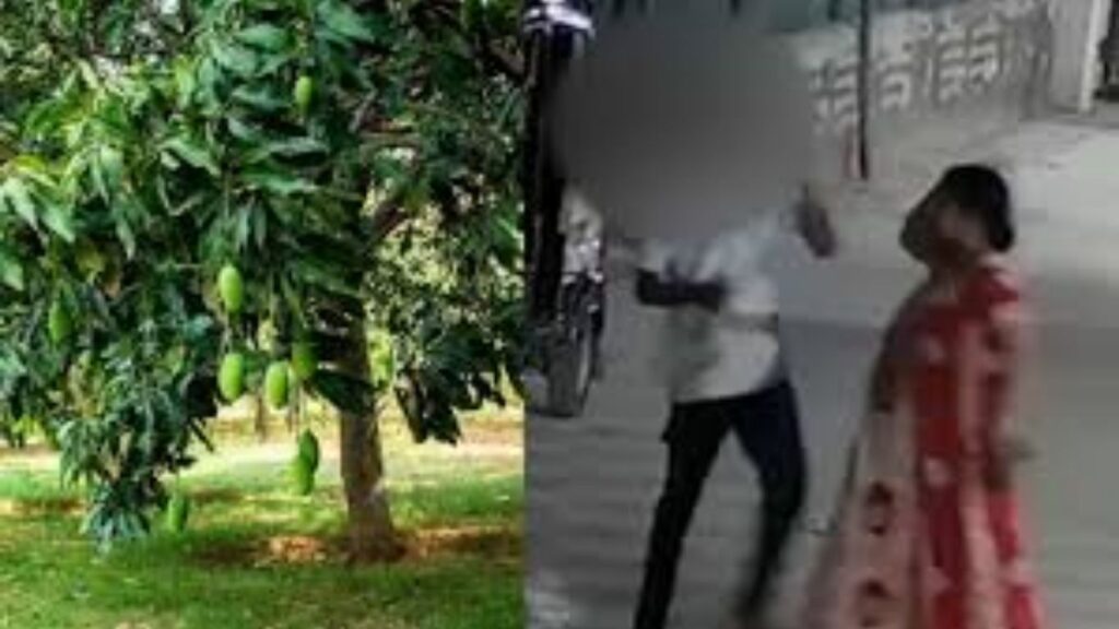 आंबे तोडल्याच्या कारणावरून 15 वर्षीय मुलाला बेदम मारहाण; बदलापूरमध्ये दाम्पत्यावर गुन्हा