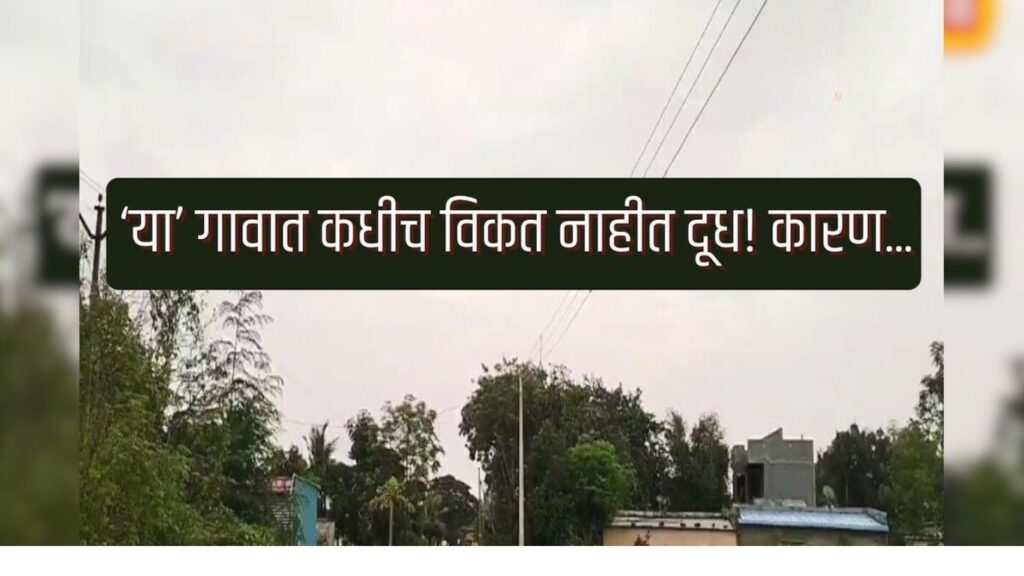 Sangli News: सासपडे गावात दररोज 1000 लिटर दूध, तरीही एक थेंबही विक्री नाही परंपरेमागचं रहस्य काय?
