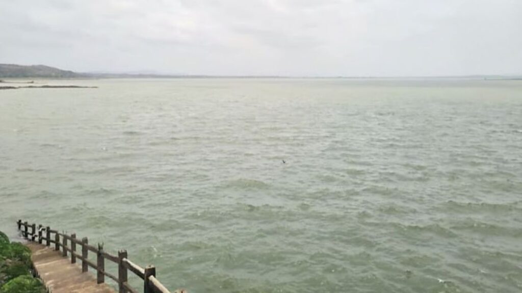 Nira Dam Water Storage : पुणे, बारामती, इंदापूरला मोठा दिलासा; निरा प्रणालीत 20.62 TMC पाणीसाठा उपलब्ध