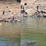 Pune News: पानशेत धरणात दुर्दैवी घटना पोहण्यासाठी उतरलेल्या तरुणाचा बुडून मृत्यू