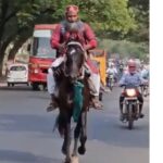 छत्रपती संभाजीनगरचा अनोखा जुगाड: पेट्रोलऐवजी घोड्यावरून 15 किमी प्रवास दिवसाला फक्त ₹150 खर्च
