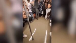 Pune Metro Viral Video: बंद दरवाज्यांमधूनही मेट्रोत पाणीगळती; प्रवाशांची उडाली तारांबळ