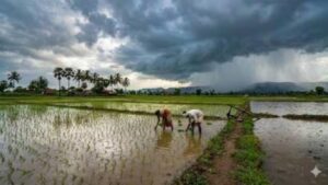 Maharashtra Rain Update: महाराष्ट्रात मान्सून कधी दाखल होणार? शेतकऱ्यांसाठी कृषी विभागाचा महत्त्वाचा इशारा