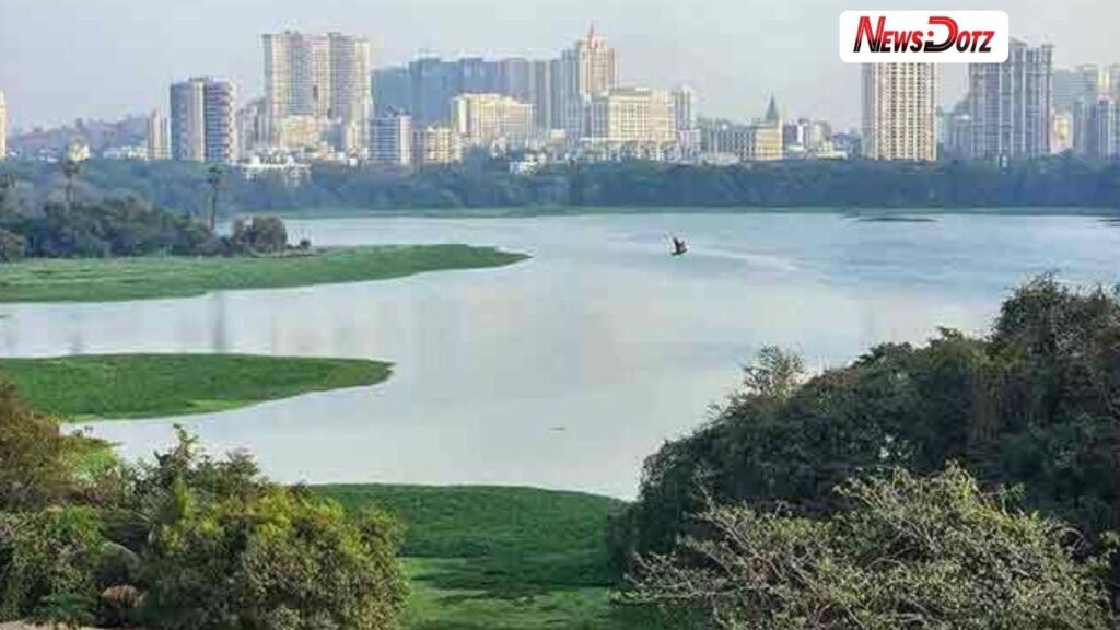 पवई तलावाचे अस्तित्व धोक्यात! दररोज 18 दशलक्ष लीटर मलजल तलावात, BMC च्या दुर्लक्षावर गंभीर प्रश्नचिन्ह