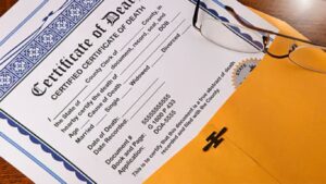 जन्म-मृत्यू नोंदणीचा केंद्रीय सर्व्हर ठप्प! सोलापूरसह राज्यभर दाखला वितरणावर परिणाम, नागरिकांची गैरसोय