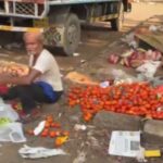 Vashi APMC News: कचऱ्यातील सडलेल्या भाज्या पुन्हा विक्रीसाठी? वाशी मार्केटच्या व्हायरल VIDEO ने उडवली खळबळ