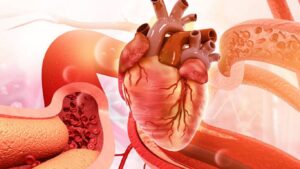मुंबईत TAVR प्रक्रियांमध्ये २५% वाढ हृदयविकार उपचारांसाठी शहर ठरतंय अत्याधुनिक केंद्र