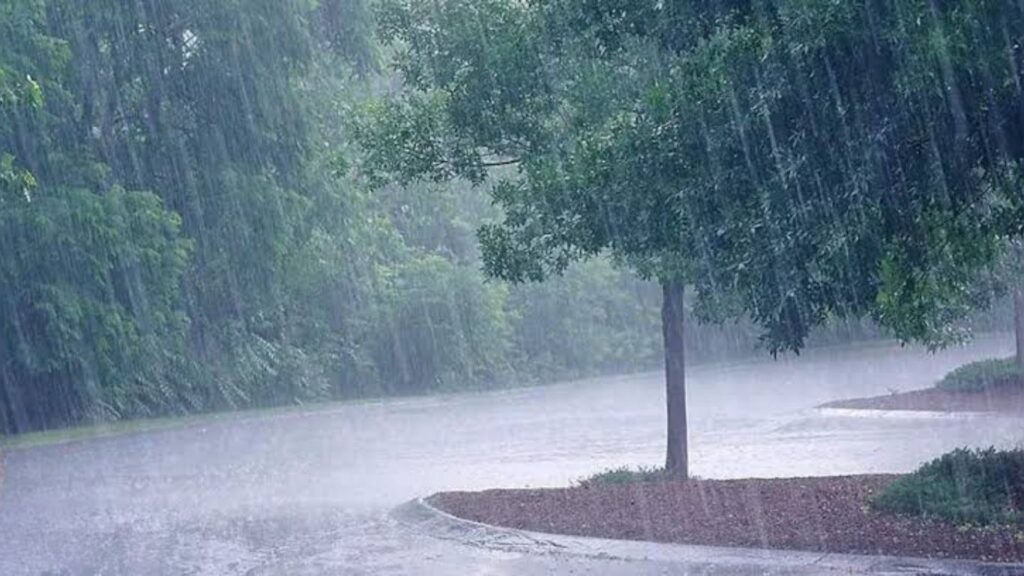 दुपारपासूनच अंधारून आलं अन् पुण्यात मुसळधार पाऊस बाजीराव रस्त्यावर झाड कोसळलं, नागरिकांना सतर्कतेचा इशारा
