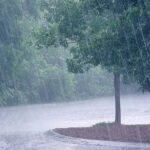 Pune Rain News: दुपारपासूनच अंधारून आलं अन् पुण्यात मुसळधार पाऊस बाजीराव रस्त्यावर झाड कोसळलं, नागरिकांना सतर्कतेचा इशारा