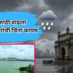 मुंबईला पाणीपुरवठा करणाऱ्या 7 धरणांतील पाणीसाठ्यात वाढ BMC ची ताजी आकडेवारी, 5 जुलैपर्यंत ऑरेंज अलर्ट