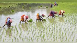 महिला शेतकरी सक्षमीकरण विधेयक विधानसभेत मंजूर राज्यातील महिलांना मिळणार शेतकरी दर्जा