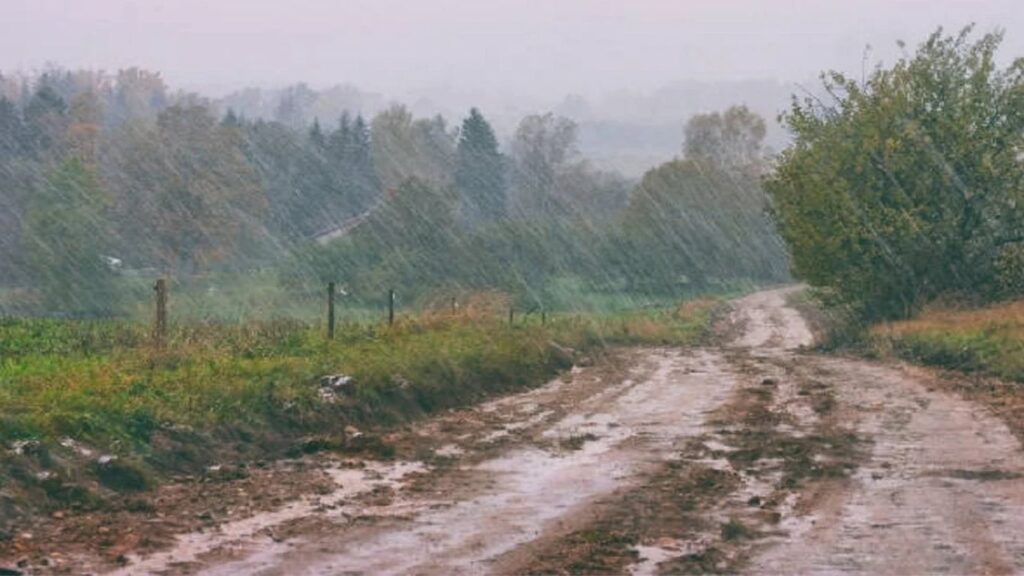 Purandar Rain: दमदार पावसाने पुरंदर तालुका सुखावला शेतकऱ्यांना दिलासा, पेरणीला मिळणार वेग