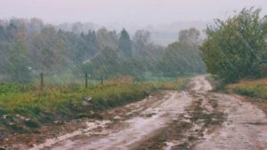Purandar Rain: दमदार पावसाने पुरंदर तालुका सुखावला शेतकऱ्यांना दिलासा, पेरणीला मिळणार वेग