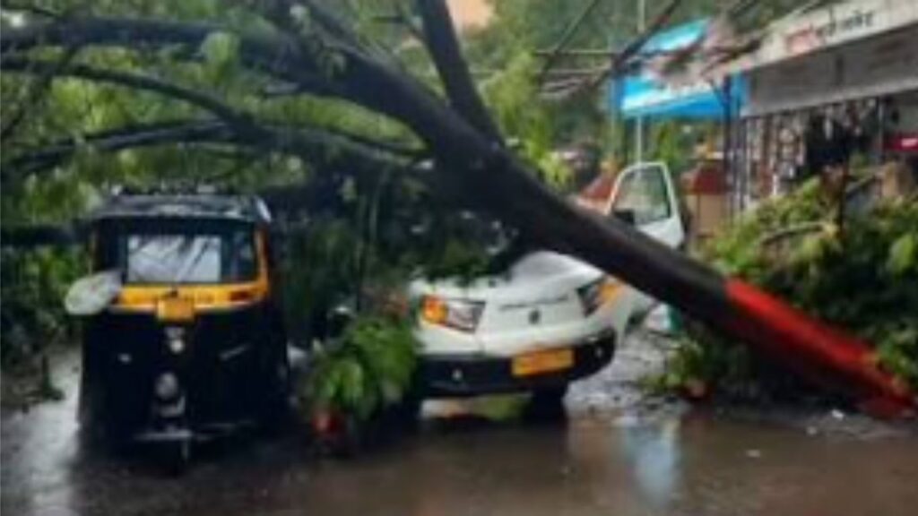 Dombivli News: डोंबिवलीत रिक्षा आणि KDMCच्या कचरा वाहनावर झाड कोसळले चालक जखमी