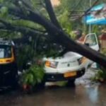 Dombivli News: डोंबिवलीत रिक्षा आणि KDMCच्या कचरा वाहनावर झाड कोसळले चालक जखमी
