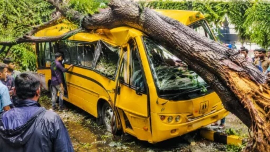 Mumbai Tree Collapse: झाड पडल्यास ठेकेदार जबाबदार! चेंबूर दुर्घटनेनंतर BMC च्या 50 पानी अहवालात मोठी शिफारस