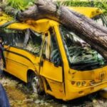 Mumbai Tree Collapse: झाड पडल्यास ठेकेदार जबाबदार! चेंबूर दुर्घटनेनंतर BMC च्या 50 पानी अहवालात मोठी शिफारस