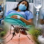 ग्रामीण भागात साथरोगांचा प्रादुर्भाव वाढला टायफाईड, डेंग्यू, मलेरियाचे रुग्ण वाढल्याने 1 हजार IV सेटची मागणी