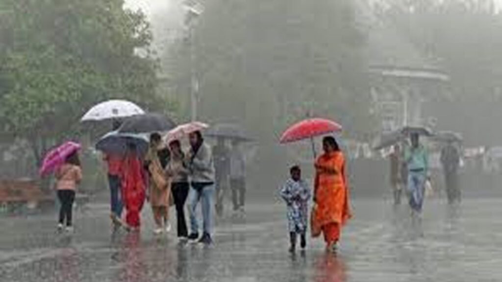 महाराष्ट्रात पावसाचे जोरदार कमबॅक! १३ ते २७ ऑगस्टदरम्यान अनेक भागांत मुसळधार पावसाचा अंदाज