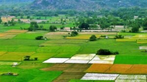 India Government Land Holdings: देशातील सर्वाधिक जमीन सरकारच्या मालकीची संरक्षण मंत्रालय आणि रेल्वे प्रमुख जमीनदार