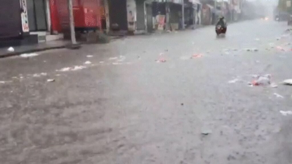 Weather News: देशभरात पावसाचा हाहाकार बिहार-बंगालमध्ये वीज कोसळून 11 जणांचा मृत्यू