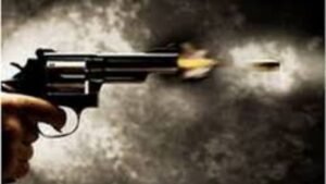 Pune Crime: धनकवडीत गावठी पिस्तुलातून अचानक गोळी सुटली तरुण जखमी, एकाला अटक