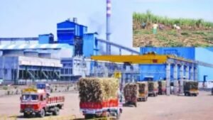 ऊस गाळप हंगामाबाबत मोठा निर्णय होणार 9 सप्टेंबरला मंत्री समितीची बैठक