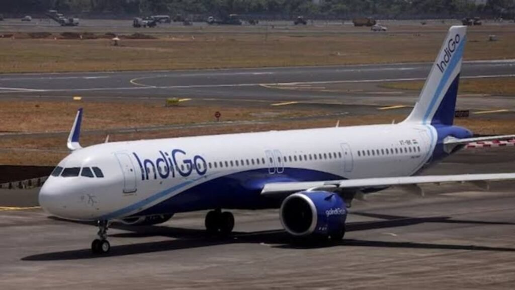Pune-Hyderabad IndiGo Flight ला पक्षाची धडक विमानाच्या पुढील भागाचे किरकोळ नुकसान, प्रवासी सुखरूप