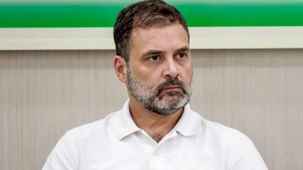 राहुल गांधींच्या दिल्ली आंदोलनावर भाजपची टीका १३ कोटी मतदारांच्या नावांवरून आरोप-प्रत्यारोप