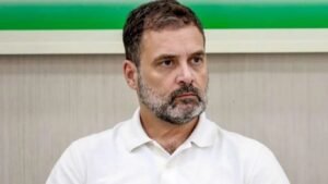 राहुल गांधींच्या दिल्ली आंदोलनावर भाजपची टीका १३ कोटी मतदारांच्या नावांवरून आरोप-प्रत्यारोप